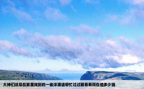 大神们这是在家里找到的一些洋酒请帮忙过过眼看看现在值多少钱