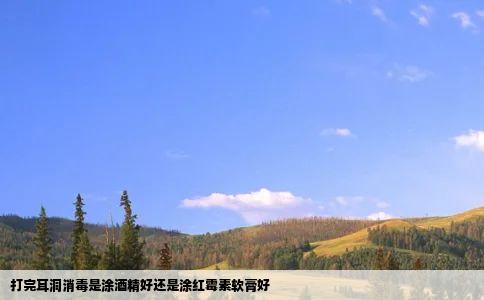 打完耳洞消毒是涂酒精好还是涂红霉素软膏好