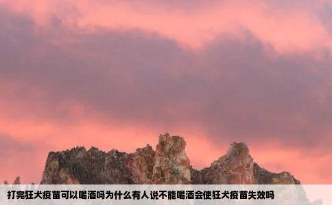 打完狂犬疫苗可以喝酒吗为什么有人说不能喝酒会使狂犬疫苗失效吗
