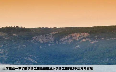 大学毕业一年了做销售工作我是做酒水销售工作的找不到方向真想