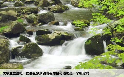 大学生去酒吧一次要花多少钱啊夜总会和酒吧是一个概念吗