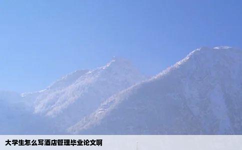 大学生怎么写酒店管理毕业论文啊