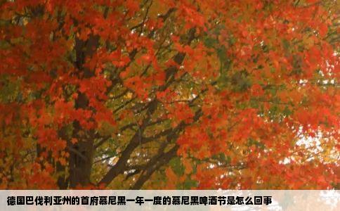 德国巴伐利亚州的首府慕尼黑一年一度的慕尼黑啤酒节是怎么回事