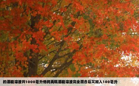 的酒精溶液共1000毫升他将两瓶酒精溶液完全混合后又加入100毫升