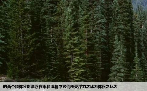 的两个物体分别漂浮在水和酒精中它们所受浮力之比为体积之比为