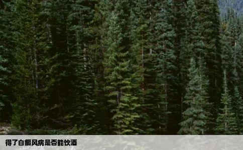 得了白癜风病是否能饮酒