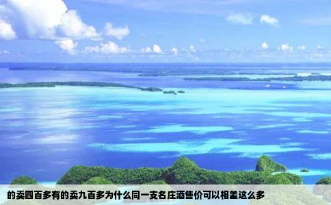 的卖四百多有的卖九百多为什么同一支名庄酒售价可以相差这么多