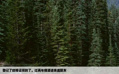 登记了结婚证领到了。过两年摆酒请亲戚朋友