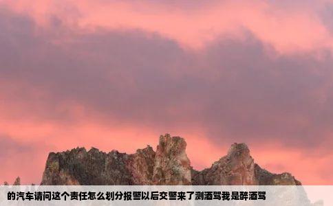 的汽车请问这个责任怎么划分报警以后交警来了测酒驾我是醉酒驾