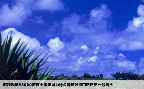 的铁观音A3000应该不差吧可为什么味道好淡口感感觉一般喝不
