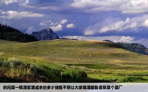 的问题一瓶原浆酒成本价多少钱我不想让大家喝酒精我很想建个酒厂