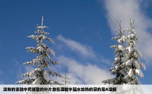 淀粉的实验中把摘取的叶片放在酒精中隔水加热的目的是A溶解