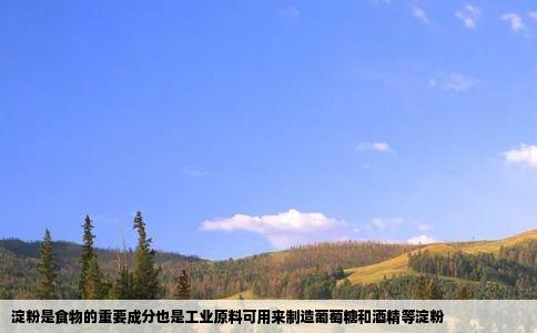 淀粉是食物的重要成分也是工业原料可用来制造葡萄糖和酒精等淀粉