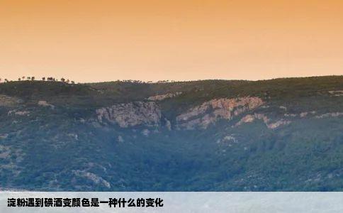 淀粉遇到碘酒变颜色是一种什么的变化