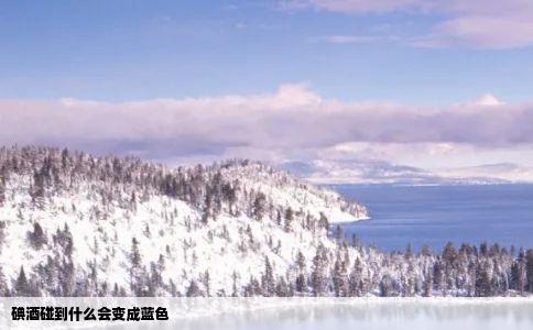 碘酒碰到什么会变成蓝色
