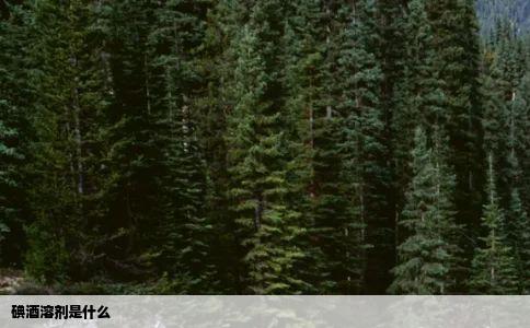 碘酒溶剂是什么