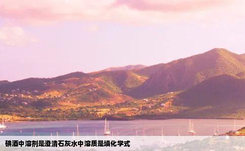 碘酒中溶剂是澄清石灰水中溶质是填化学式