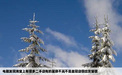 电脑发现淘宝上有很多二手店有的星级不高不是皇冠店但出货量很