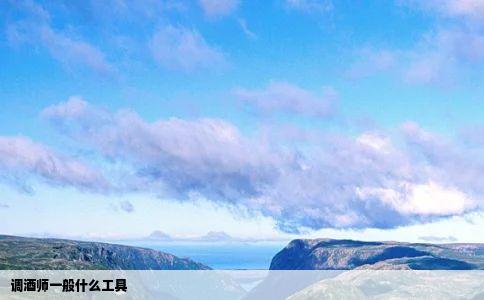 调酒师一般什么工具