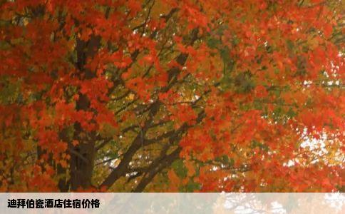 迪拜伯瓷酒店住宿价格