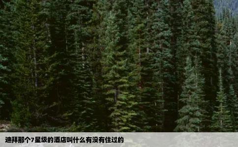 迪拜那个7星级的酒店叫什么有没有住过的