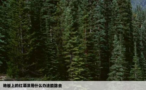 地板上的红酒渍用什么办法能除去