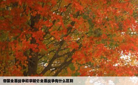 帝国全面战争和拿破仑全面战争有什么区别