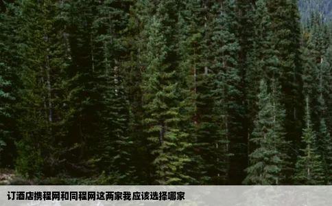订酒店携程网和同程网这两家我应该选择哪家