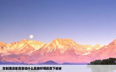 定制酒店家具首选什么品牌好呢透露下谢谢
