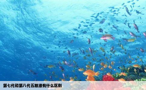 第七代和第八代五粮液有什么区别