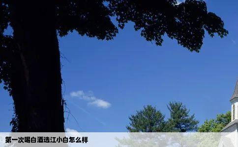 第一次喝白酒选江小白怎么样