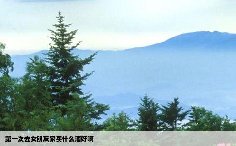 第一次去女朋友家买什么酒好啊