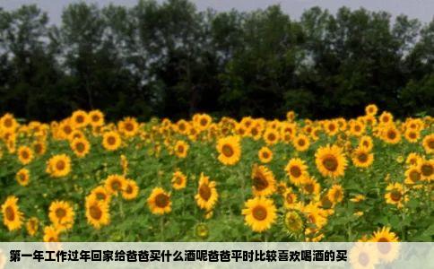 第一年工作过年回家给爸爸买什么酒呢爸爸平时比较喜欢喝酒的买