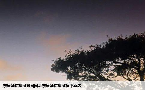 东呈酒店集团官网网址东呈酒店集团旗下酒店