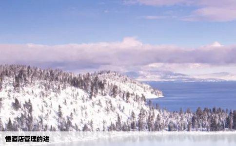 懂酒店管理的进