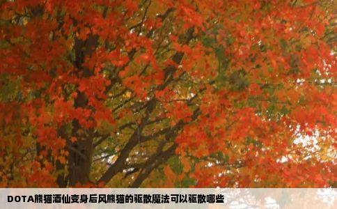 DOTA熊猫酒仙变身后风熊猫的驱散魔法可以驱散哪些