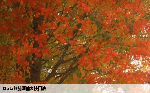 Dota熊猫酒仙大技用法