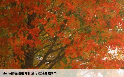 dota熊猫酒仙为什么可以分身成9个