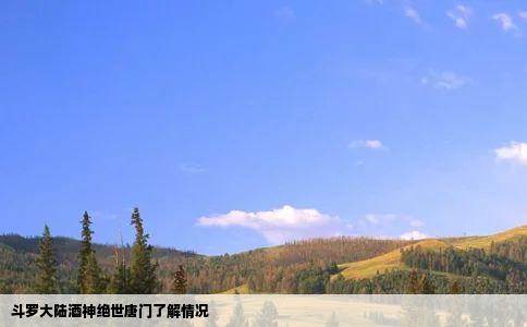 斗罗大陆酒神绝世唐门了解情况