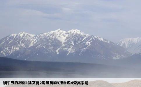 端午节的习俗1插艾蒿2喝雄黄酒3挂香包4登高采菊