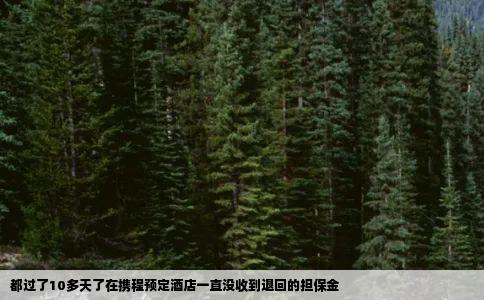 都过了10多天了在携程预定酒店一直没收到退回的担保金