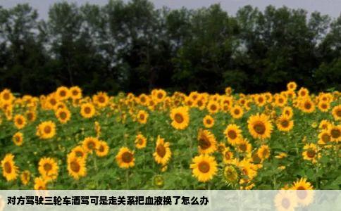 对方驾驶三轮车酒驾可是走关系把血液换了怎么办