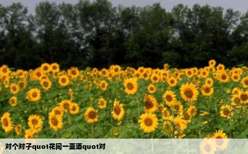 对个对子quot花间一壶酒quot对