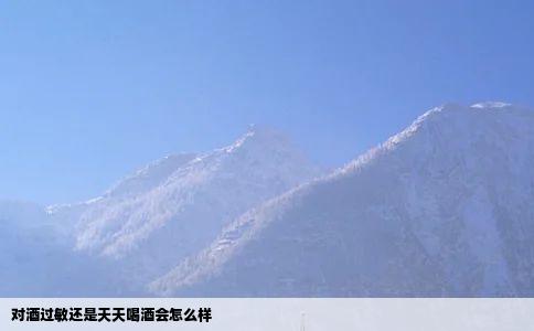 对酒过敏还是天天喝酒会怎么样