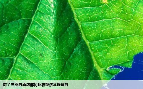 对了三亚的酒店那间比较经济又舒适的