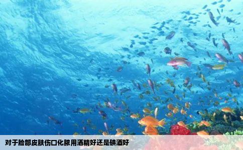 对于脸部皮肤伤口化脓用洒精好还是碘酒好