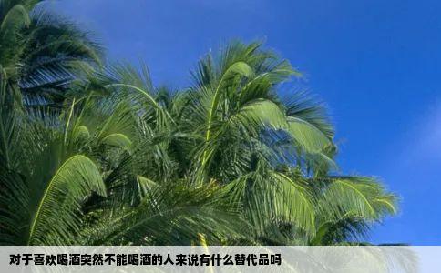 对于喜欢喝酒突然不能喝酒的人来说有什么替代品吗