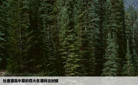 杜康酒是中国的四大名酒吗古时候