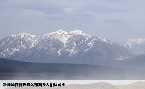 杜康酒在商丘怎么样商丘人们认可不