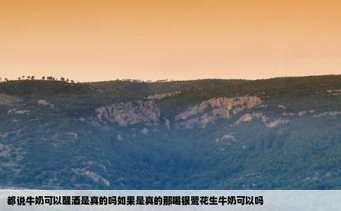 都说牛奶可以醒酒是真的吗如果是真的那喝银鹭花生牛奶可以吗